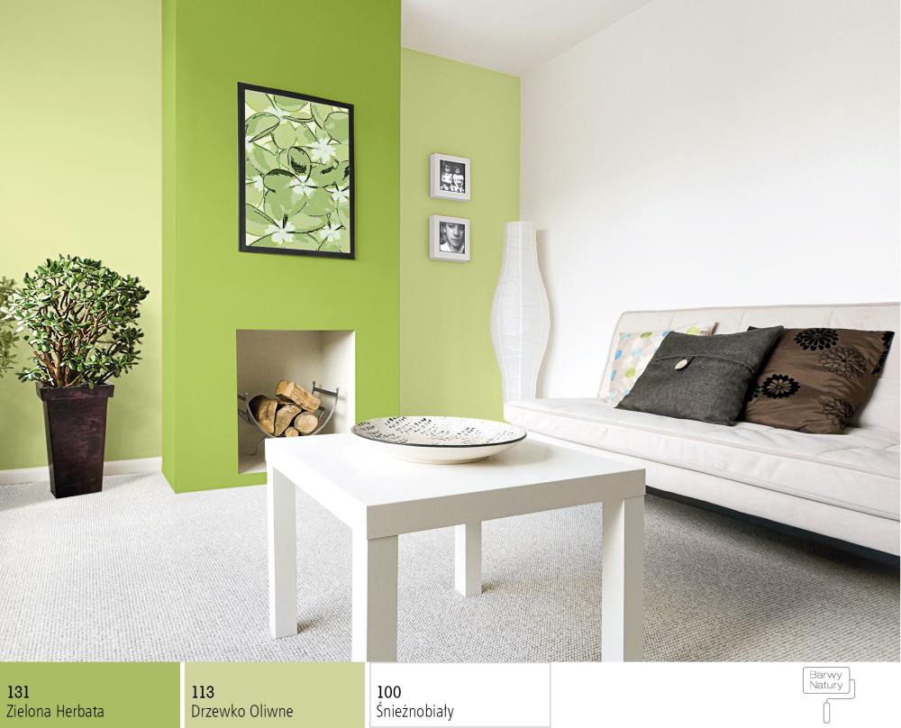 Zielony kolor ściany w pokoju wypoczynkowym
